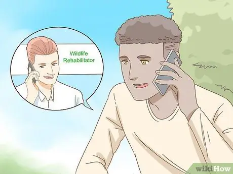 Помогите упавшему птенцу Шаг 8