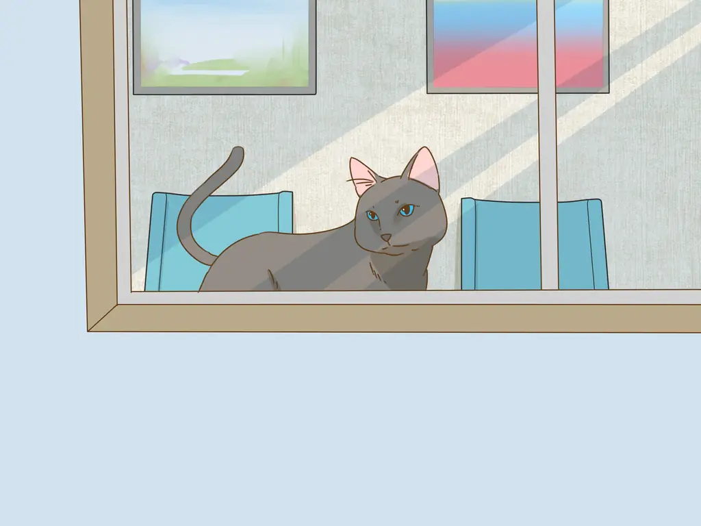 Как помочь упавшему птенцу: 10 шагов (с иллюстрациями)