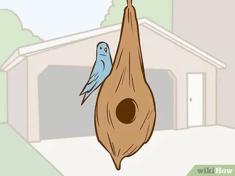 Помогите птенцу, выпавшему из гнезда Шаг 6