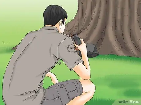 Выпуск диких птенцов, шаг 10