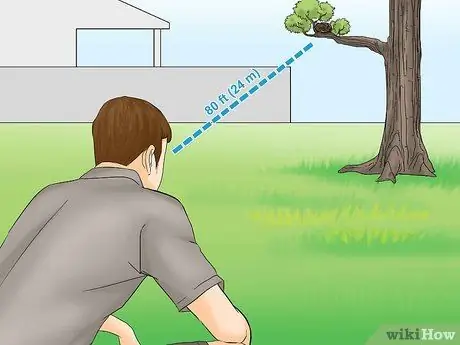 Выпуск диких птенцов, шаг 13