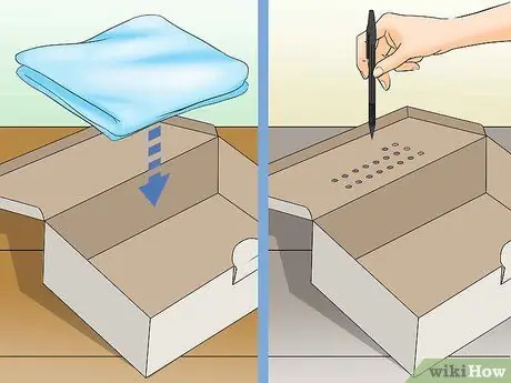 Выпуск диких птенцов, шаг 3