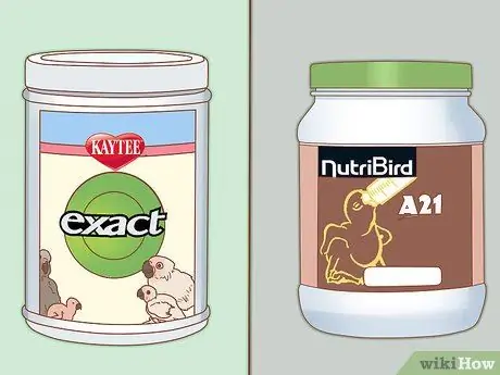 Покормить голубя Шаг 1