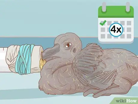 Покормить голубя Шаг 8