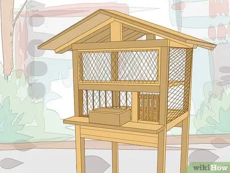 Дрессировка почтового голубя. Шаг 2