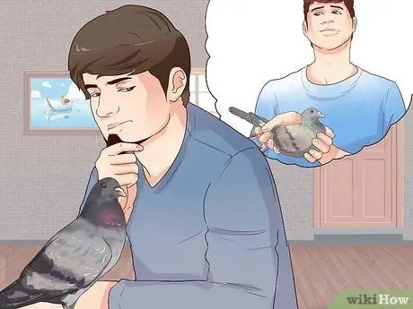Держи голубя Шаг 12