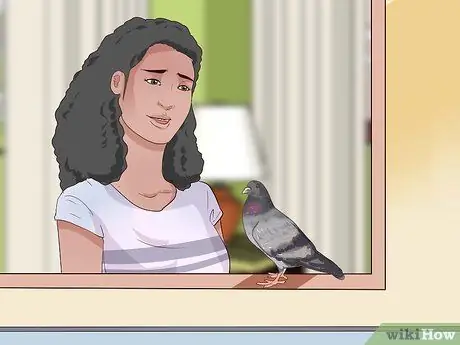 Держи голубя Шаг 6