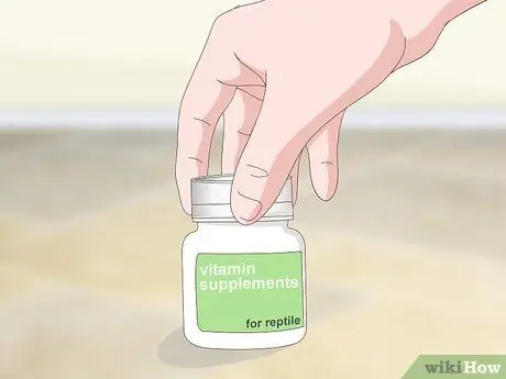 Уход за игуаной Шаг 13