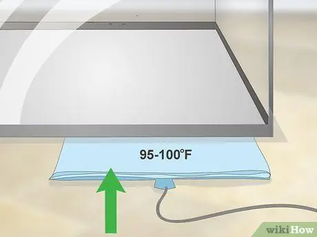 Уход за игуаной Шаг 2