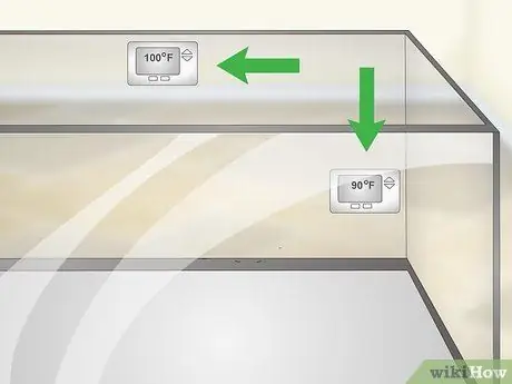 Уход за игуаной Шаг 3