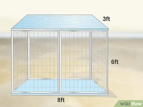 Уход за игуаной Шаг 5