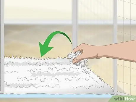 Уход за игуаной Шаг 6