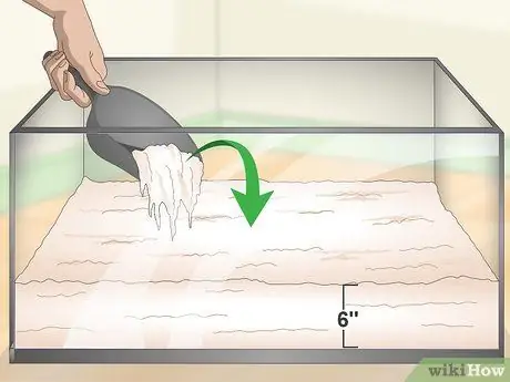 Играйте с крабом-отшельником, шаг 2