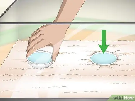 Играйте с крабом-отшельником, шаг 3