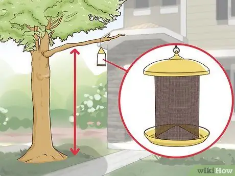 Защитите маленьких дворовых животных от кошек Шаг 1