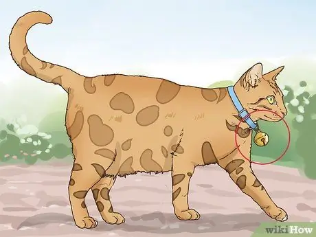 Защитите маленьких дворовых животных от кошек Шаг 8