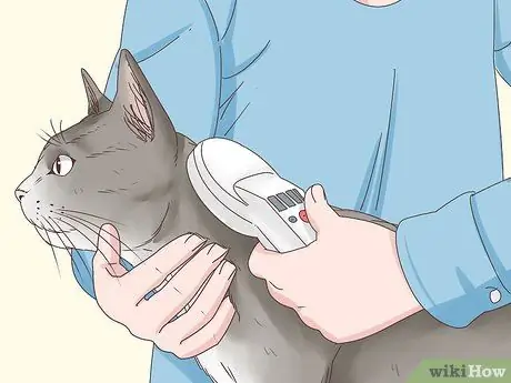 Узнайте, заблудилась ли кошка Шаг 11