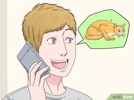 Узнай, заблудилась ли кошка Шаг 13