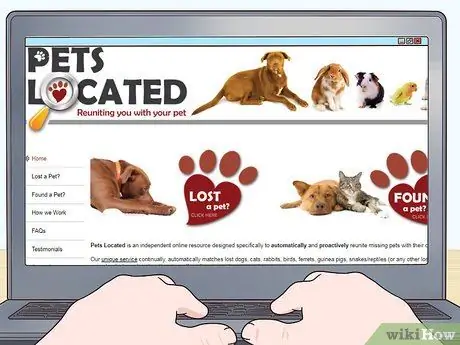 Узнайте, заблудилась ли кошка Шаг 14