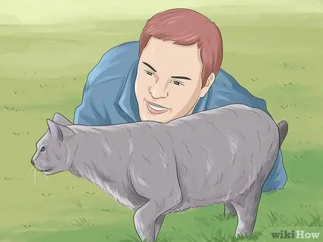 Держите кошку счастливой Шаг 3