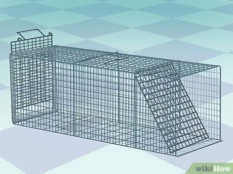 Поймать птицу Шаг 17