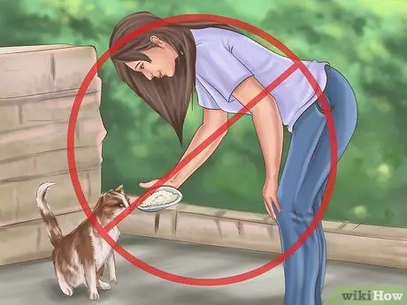 Не пускайте кошек в дом Шаг 15