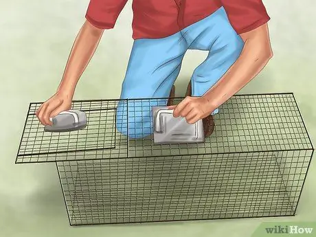 Заслужите доверие бездомной кошки Шаг 5