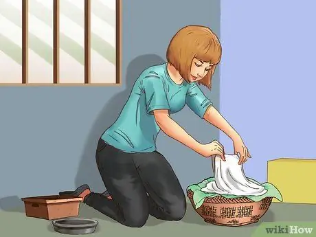 Заслужите доверие одичавшего котенка Шаг 11