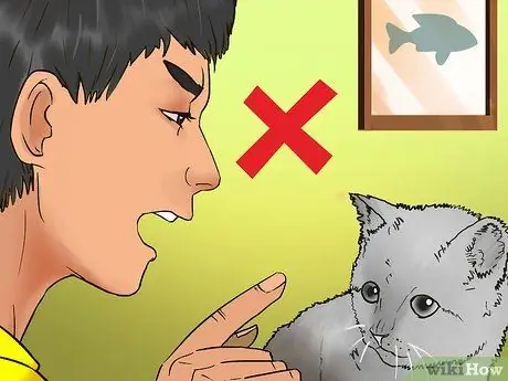 Заслужите доверие одичавшего котенка Шаг 16