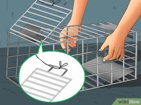 Заслужите доверие одичавшего котенка Шаг 2