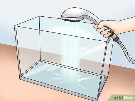 Позаботьтесь о своей карнавальной золотой рыбке, шаг 2