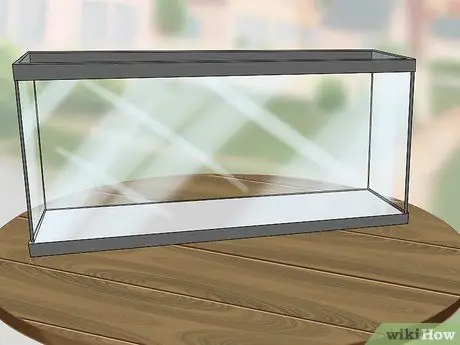 Создайте здоровый аквариум с золотыми рыбками Шаг 1