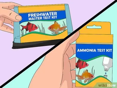 Создайте здоровый аквариум с золотыми рыбками Шаг 11