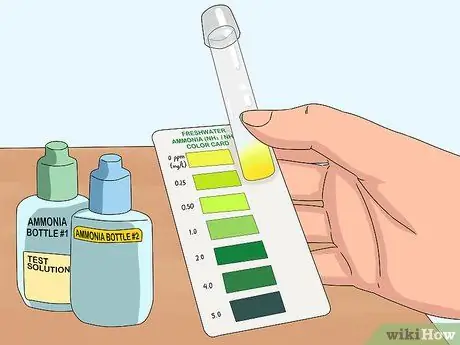 Создайте здоровый аквариум с золотыми рыбками Шаг 13