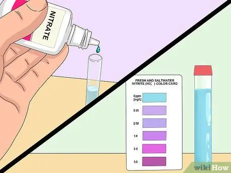 Создайте здоровый аквариум с золотыми рыбками Шаг 14