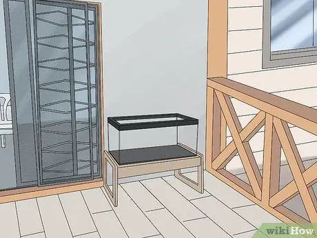 Создайте здоровый аквариум с золотыми рыбками Шаг 2