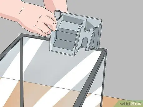 Создайте здоровый аквариум с золотыми рыбками Шаг 4