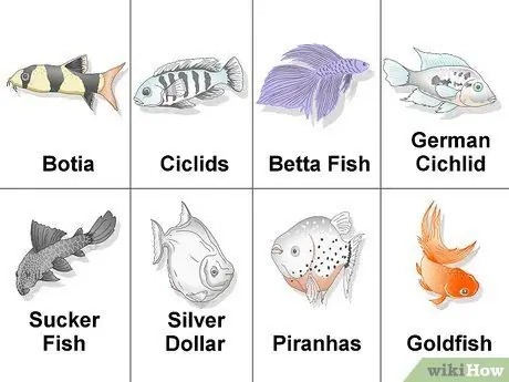 Установка холодноводного аквариума Шаг 1