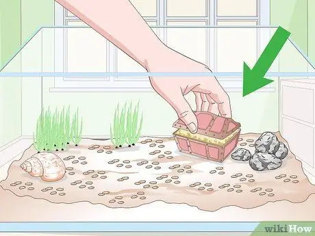 Установка холодноводного аквариума Шаг 9