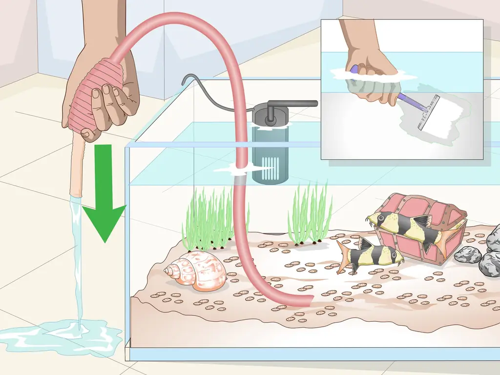 3 способа создания холодноводного аквариума