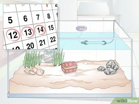 Создание аквариума в сообществе Шаг 7