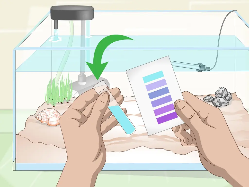 Как уберечь рыбу от смерти во время отпуска: 11 шагов