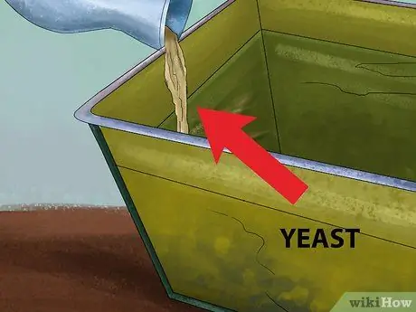 Запуск культур дафний Шаг 12