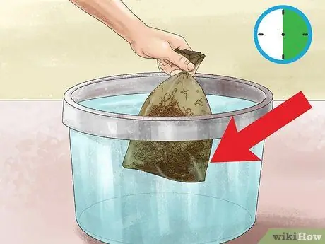 Запуск культур дафний, шаг 08