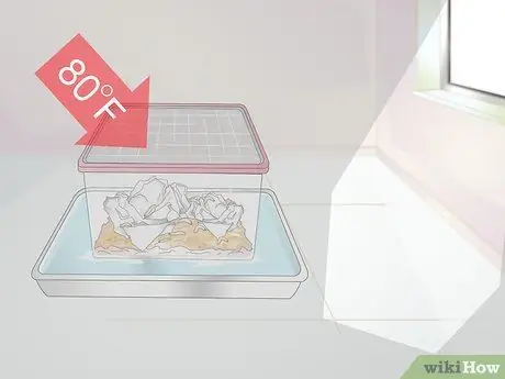 Выращивание фермы восковых червей Шаг 10