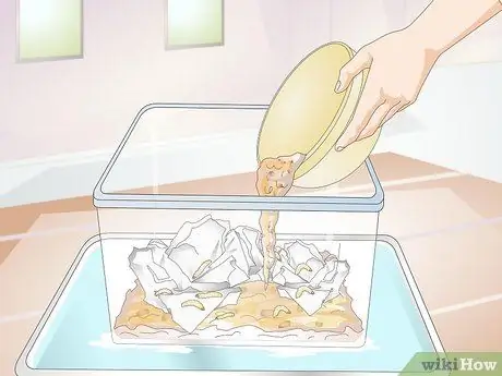 Выращивание фермы восковых червей Шаг 11