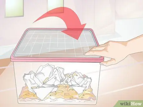 Выращивание фермы восковых червей Шаг 8