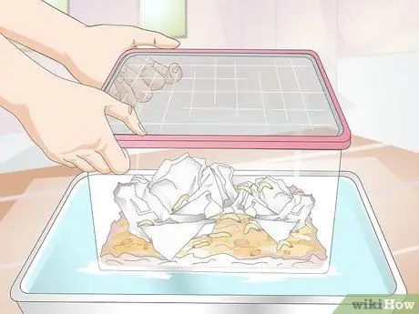 Выращивание фермы восковых червей Шаг 9