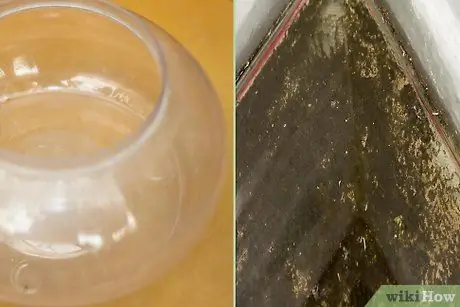 Культура Greenwater Шаг 1