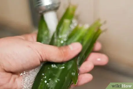 Культура Greenwater Шаг 4